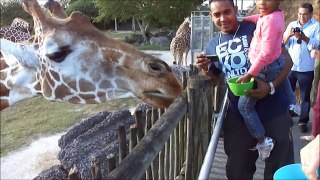 Feeding Giraffes at Zoo Miami