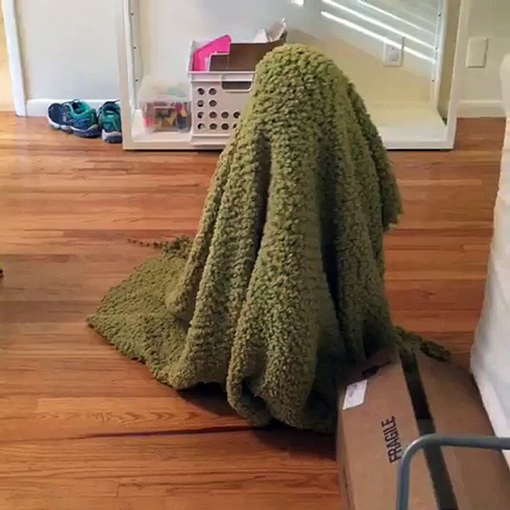 Cute Video: Watching this intense footage of a Ghost haunting!