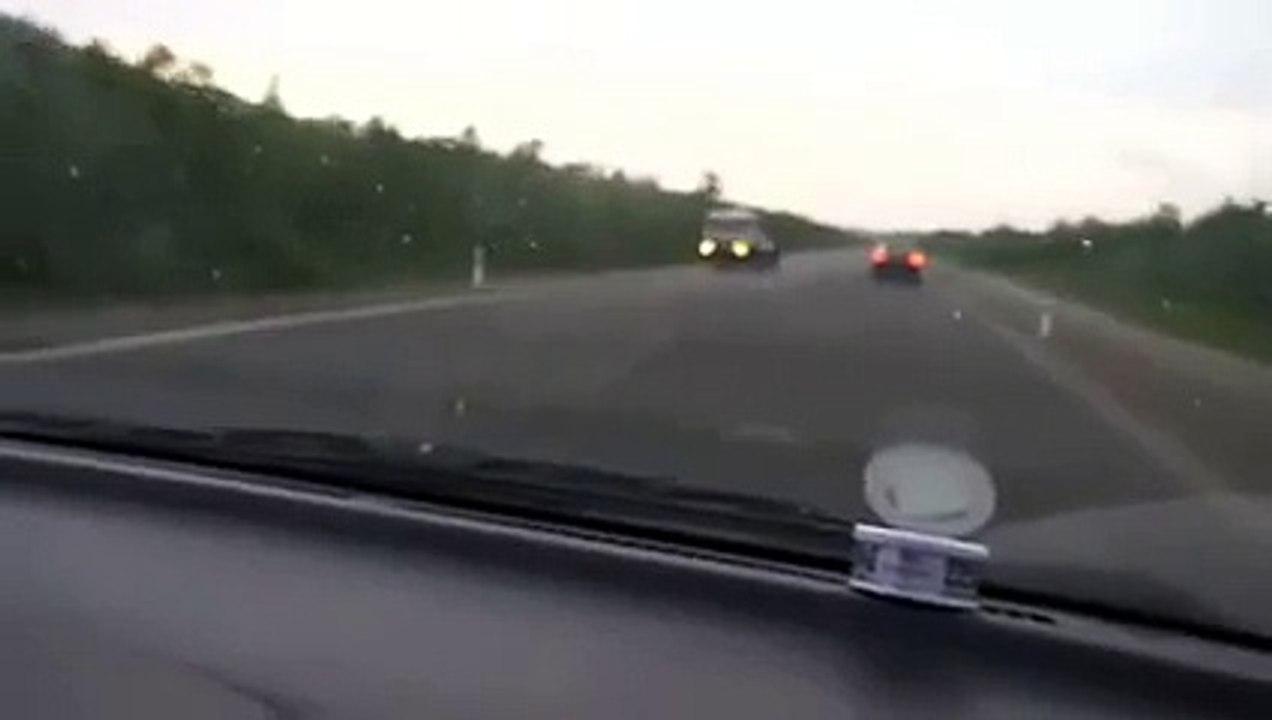 Regardez comment cet ours se nourrit ! C’est complètement fou !