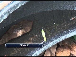 04-12-2013 - DENGUE - ZOOM TV JORNAL