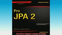 READ book  Pro JPA 2 Experts Voice in Java  FREE BOOOK ONLINE