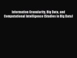 Read Information Granularity Big Data and Computational Intelligence (Studies in Big Data)