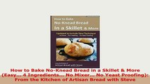 Download  How to Bake NoKnead Bread in a Skillet  More Easy 4 Ingredients No Mixer No Read Full Ebook