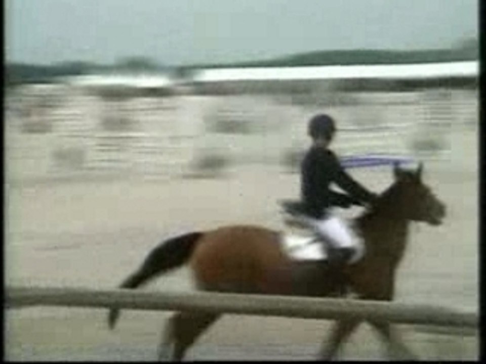 Championnat 2006 finale D2p 1 (1m15)