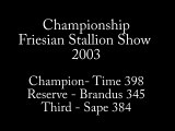 Friesian stallion show championship - 2003