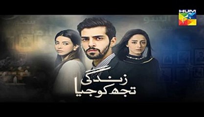 Zindagi Tujh Ko Jiya Episode 24 Promo HUM TV Drama 30 March 2016