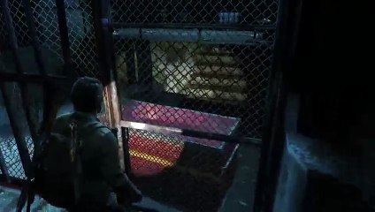 The last of us remaster (6)