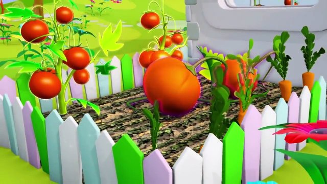 Slow Motion Video - Growing Plant - Time Lapse Photography