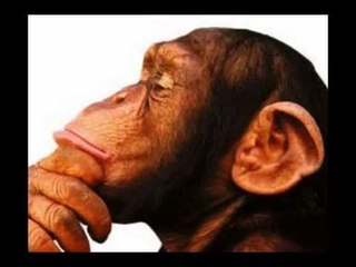 Pedro Altamiranda    Homenaje al Fuas