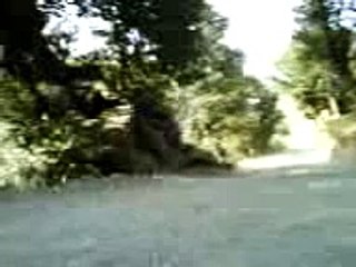 WRC Mexico Fast Pass