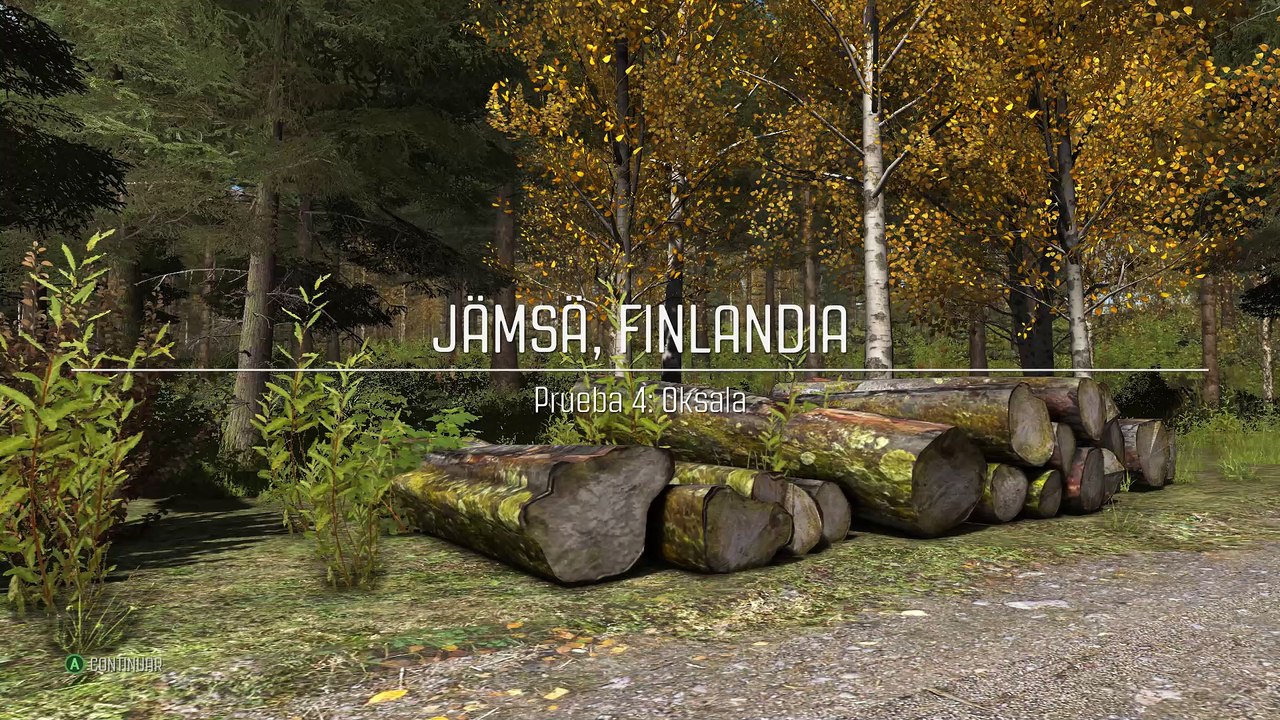 Dirt Rally