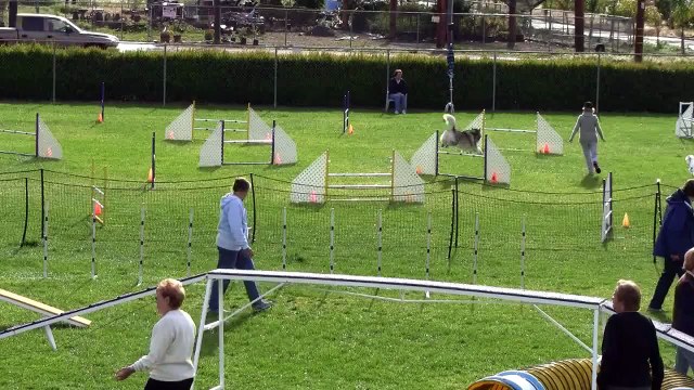 Brigitta and Sky Exc Jumpers 3-27-11.wmv