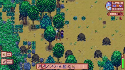 StardewValley Playing 5