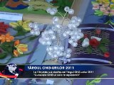 Târgul ONG-urilor la Chişinău, 23 septembrie 2011 (FHI 360 Moldova)