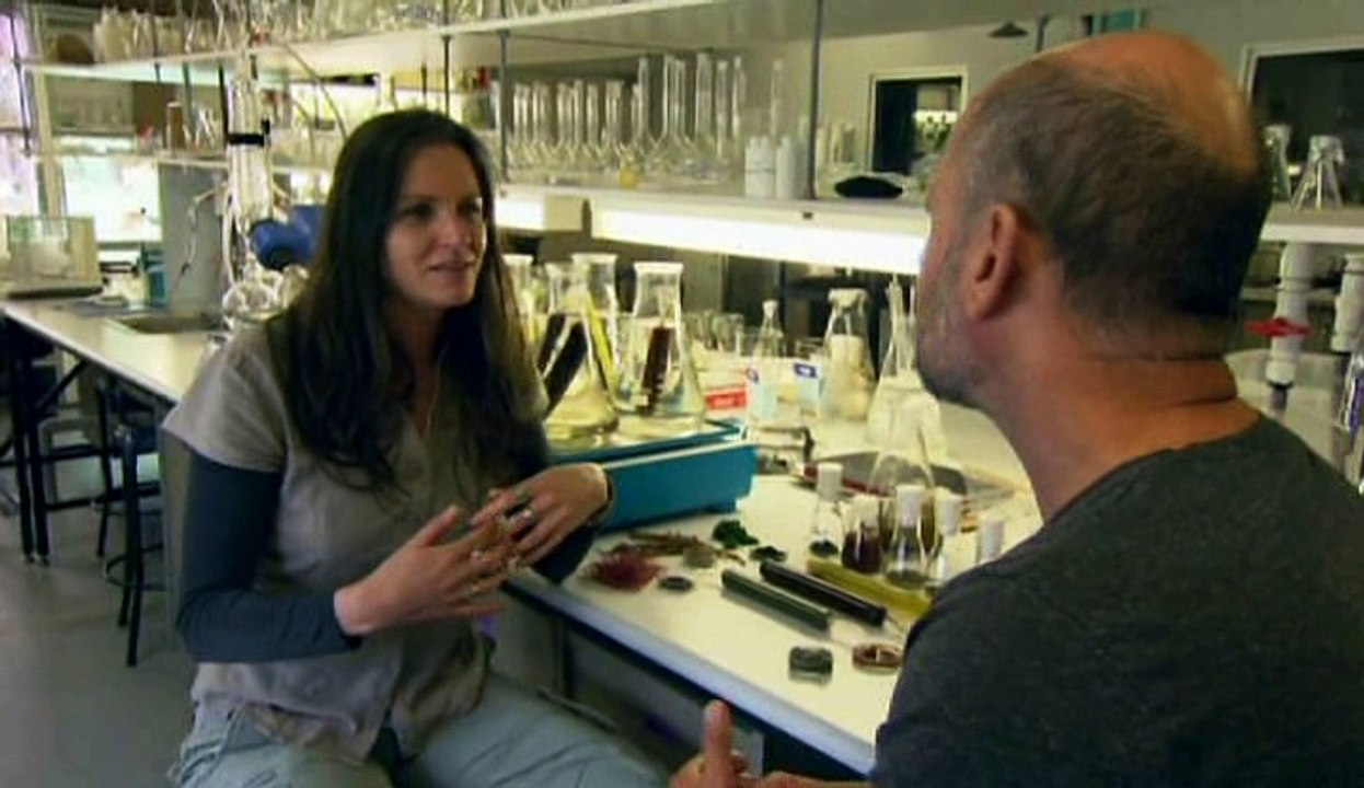 Coast Australia  S02E07 - Southern New South Wales