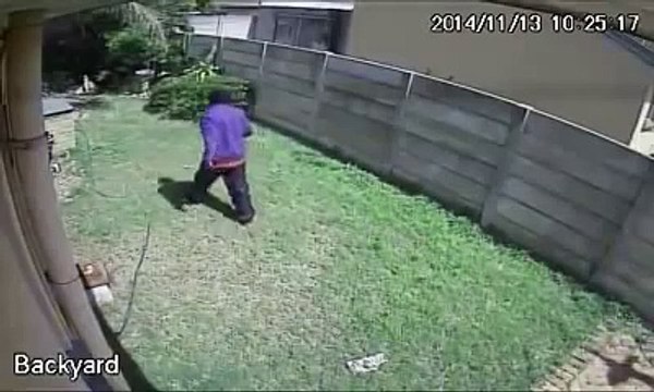 Ce chien a empêché une catastrophe d’arriver ! Regardez ce qu’il s’est passé !