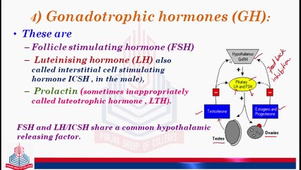 Gonadotrophic Hormone  (GH)) , Prolactin  ,Follicle Stimulating Hormone (FSH) And Leuteinizing Hormone (LH)