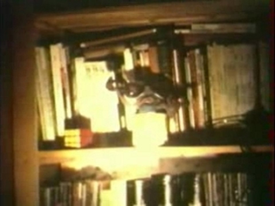 The little bebete big adventure