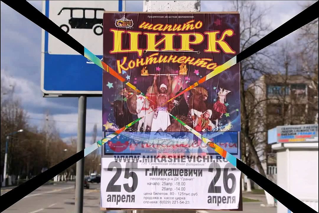 Цирк цирк