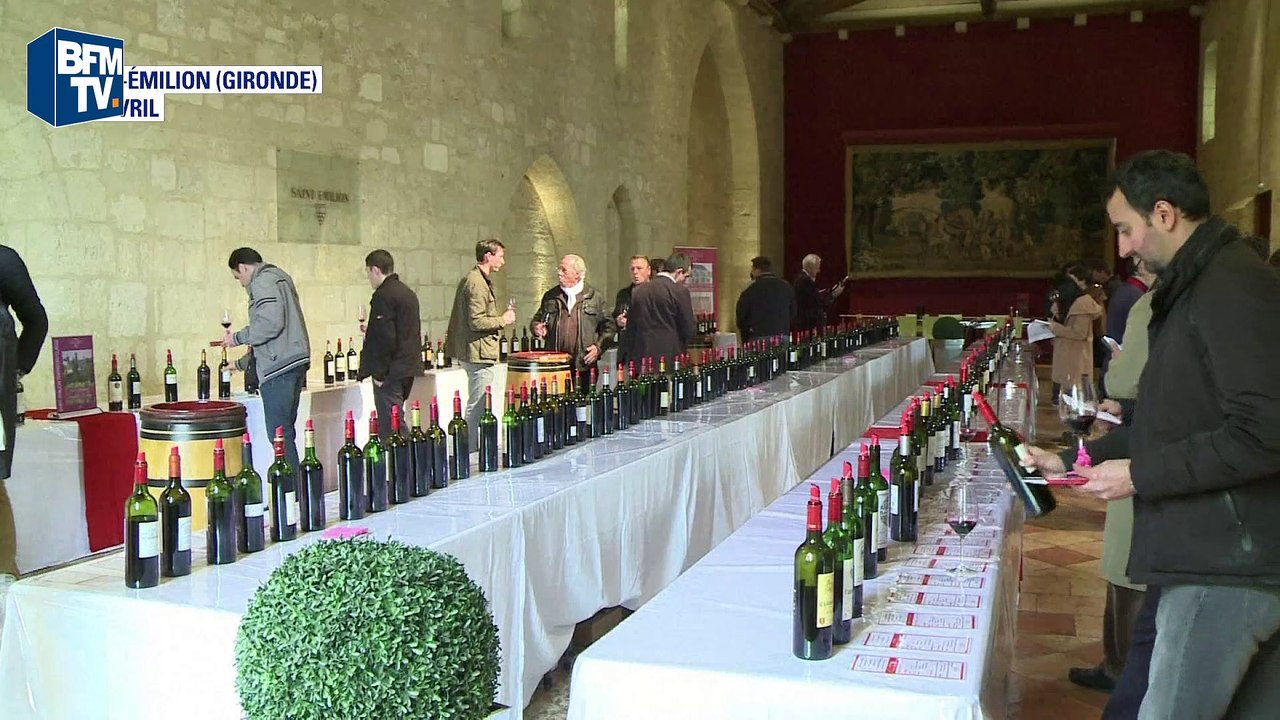 Cru 2015 exceptionnel pour les vins de Bordeaux