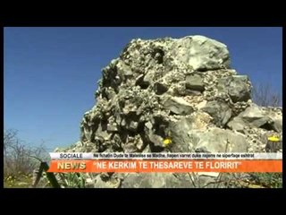 NE KERKIM TE THESAREVE TE FLORIRIT