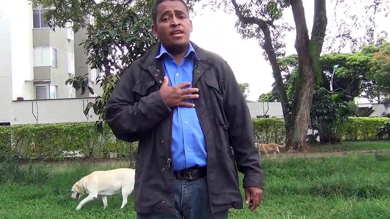 yo soy cantante y compositor