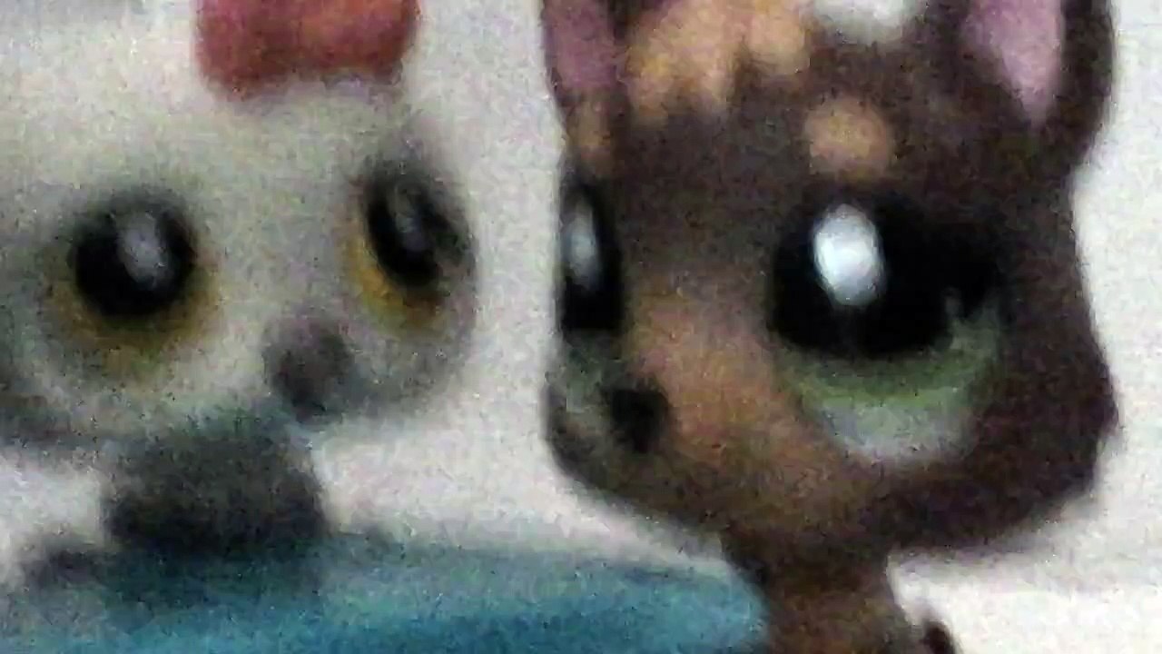 Lps inside  out  trailer.