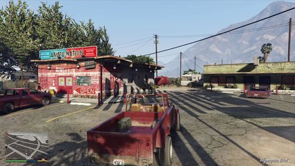 Grand Theft Auto V part 29