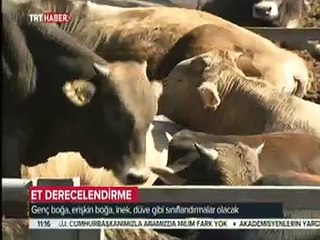 İzmir Körfez Geçiş Köprüsünde Sona Geliniyor - TRT Haber