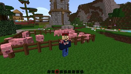 ᚖ Minecraft 7 FACTS über das SCHWEIN ᚖ - NiperHD 7 Facts