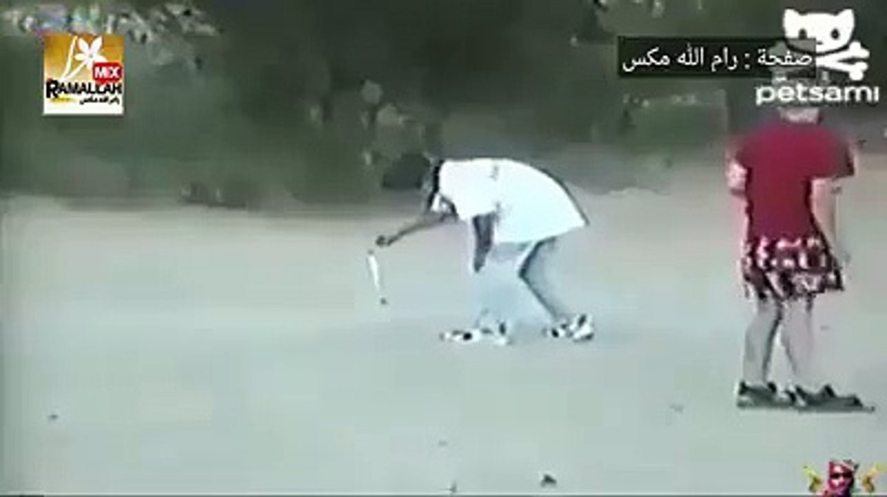 Most Funny Dogs In The World