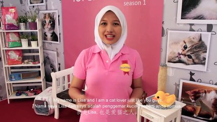 Cat 101 Care Tips Topic 5 - Keep Cat Litter Out Of The Kitchen