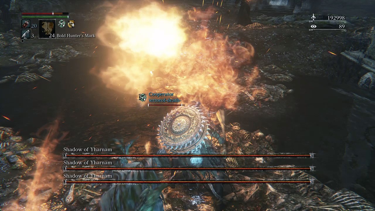 Bloodborne™