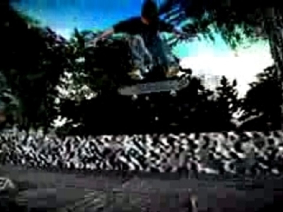 Skate - agent orange