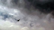 F-22 Raptor en FIDAE 2016 - Foro Militar