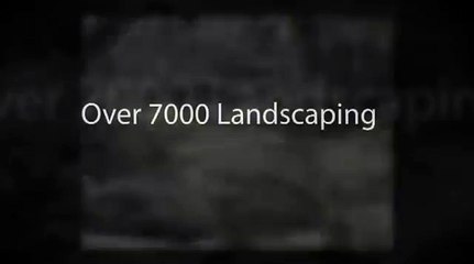 Ideas For Landscaping