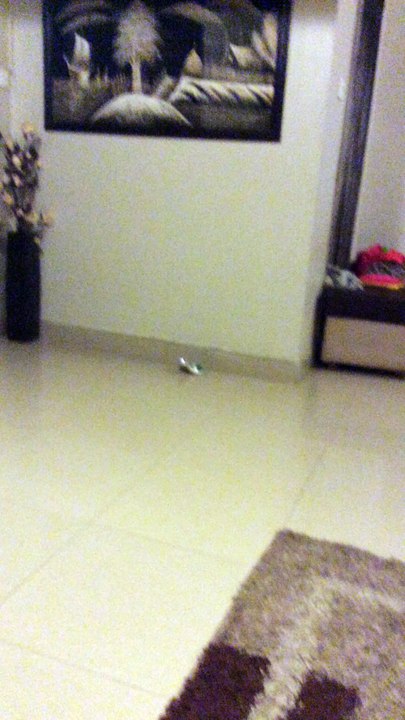 rotate