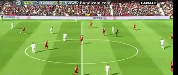 Zlatan Ibrahimović Goal Guingamp 0-1 PSG Ligue 1