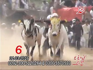 T.A.M.A.S.H.A چھٹا نمبر لنڈ ھا جی رضوان