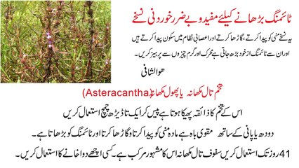 Timing Barhane Kay Lia  Mofied Wa Bay Zarar Khurdani Nuskhe