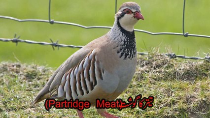 Mardana Taqat Barhane Wale Ghost