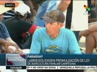 Paraguay: exigen promulgación de ley de agricultura familiar campesina