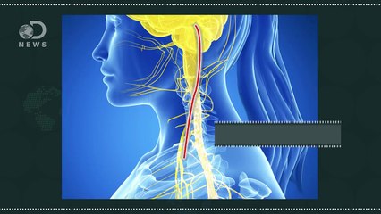 Can Light and Sound Get You High?
