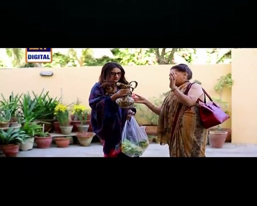 Nok Jhok Episode 1 on Ary Digital in High Quality 9th April 2016