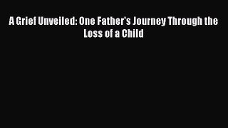 Download A Grief Unveiled: One Father's Journey Through the Loss of a Child PDF Free