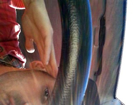 Rap nouvel star ah ah oe oe mes quesque tu crois je suis la.