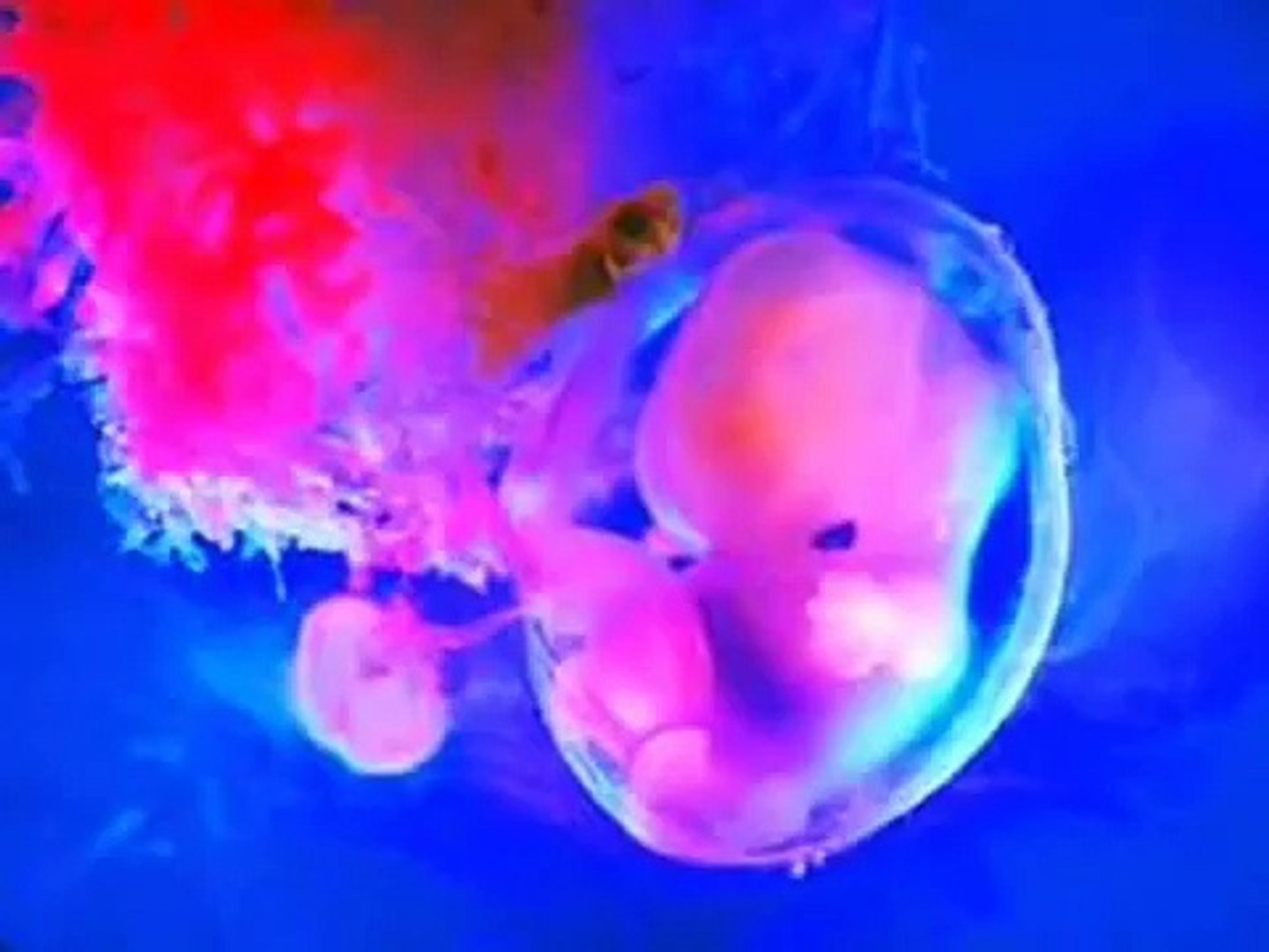 ⁣Lo más hermoso, el Bebé