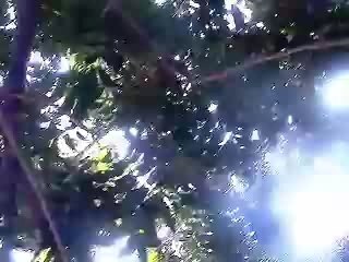 "All Around" Suki Ewers