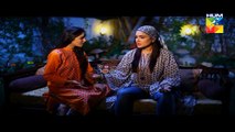 Mr Shamim Episode 43 HUM TV Drama 09 Jan 2015