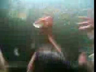 Hala Hala: A Warm Welcome